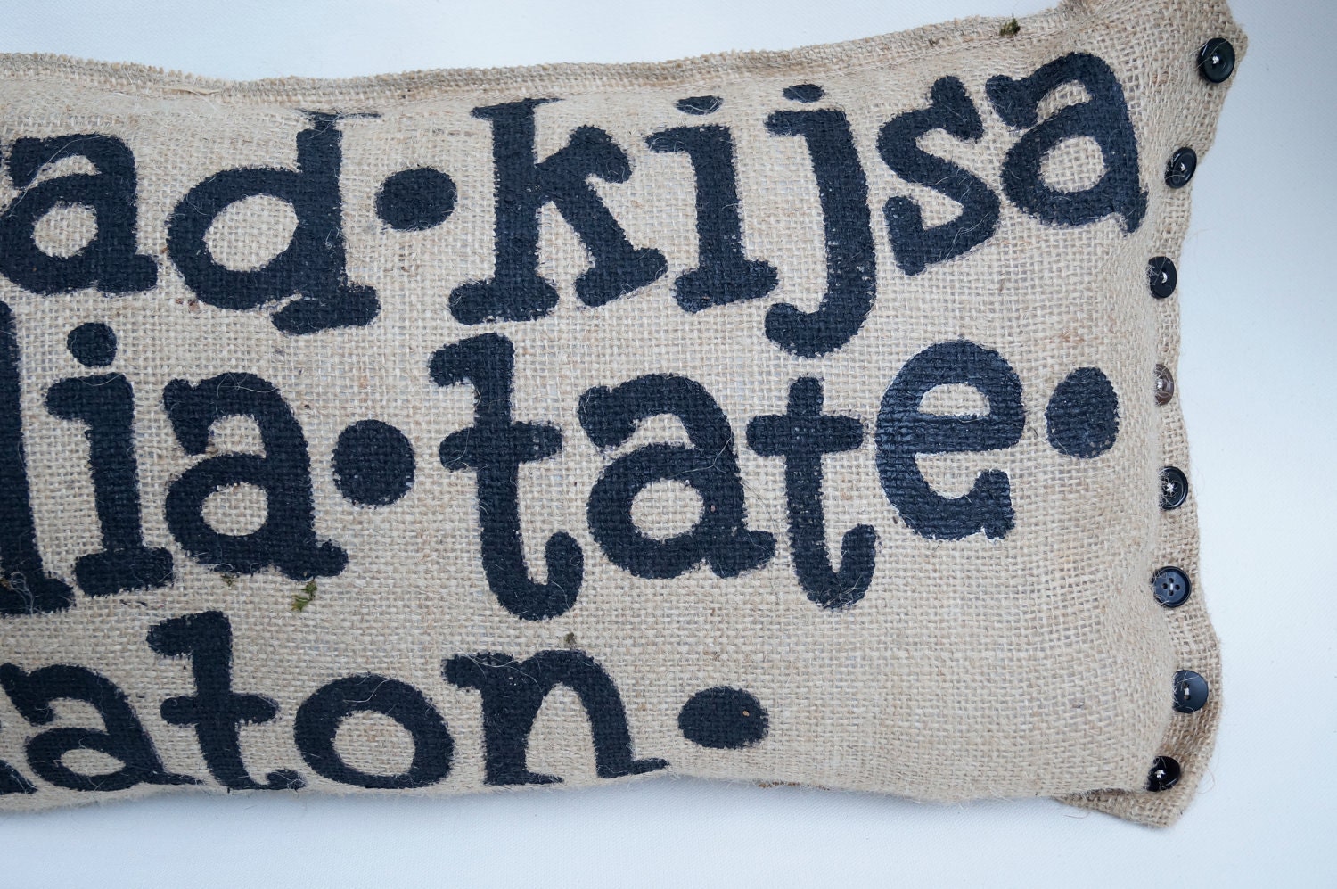 Quincy Pillow - Our Good Family Name