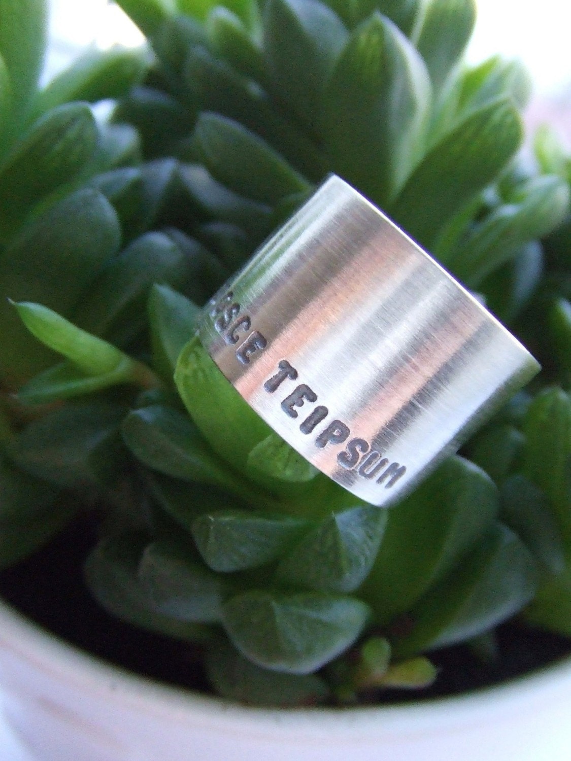 NosceTeipsum - modern wide sterling silver ring band