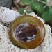 SHELL Nature Series Fused Glass Pendant -- Art Glass By YM