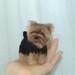 One Of A Kind OOAK Custom Needle Felted likeness of your dog, cat, pet portrait soft sculpture  Husky, Yorkie, mutt or any pet