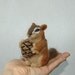 One Of A Kind OOAK Custom Needle Felted wild animal or likeness of your dog, cat, pet portrait soft sculpture bunny, Husky, Yorkie