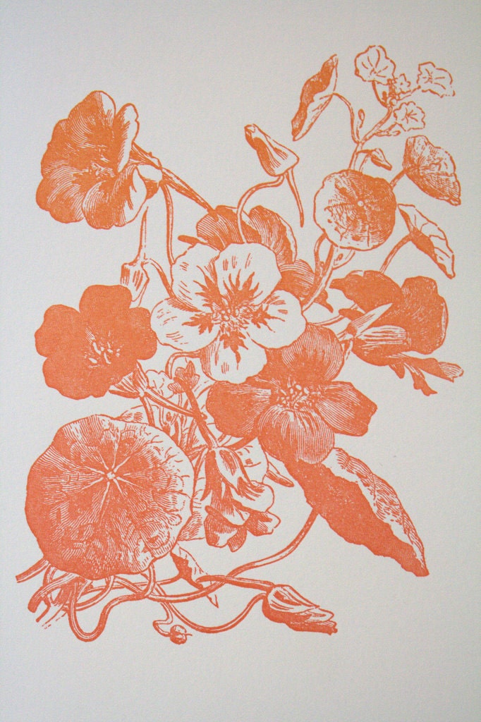 nasturshium letterpress card
