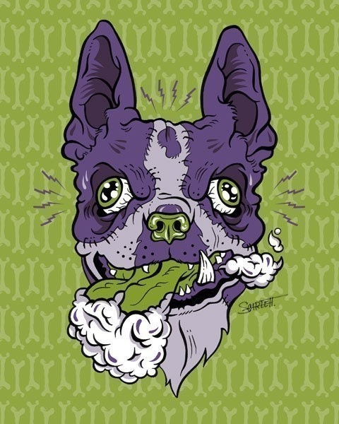 Monster Pets - Boston Terrier - 5x7 Print