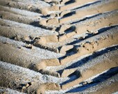 Imprints - 4x6 inches Fine Art Photograph - Original Signed Photo Print - abstract nature image in neutral tones