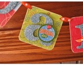 Custom Birthday Party Banner - Shower decoration Il_170x135