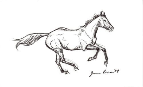 Horse Running Sketches