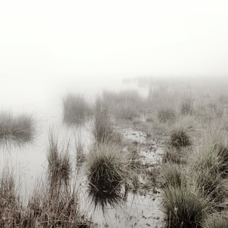 Mist art - Mist photography - Fog - Lost in Silence 1  - Fine art photography print - Nature - Fenland - 7x7 - JKphotography