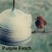 Pottery Bird Feeder in Warm Brown and Brown for feeding sunflower seeds to your favorite birds