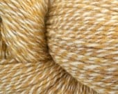 Homegrown Wool/Nylon Yarn -- DK/Sport Weight -- 4 oz. skein
