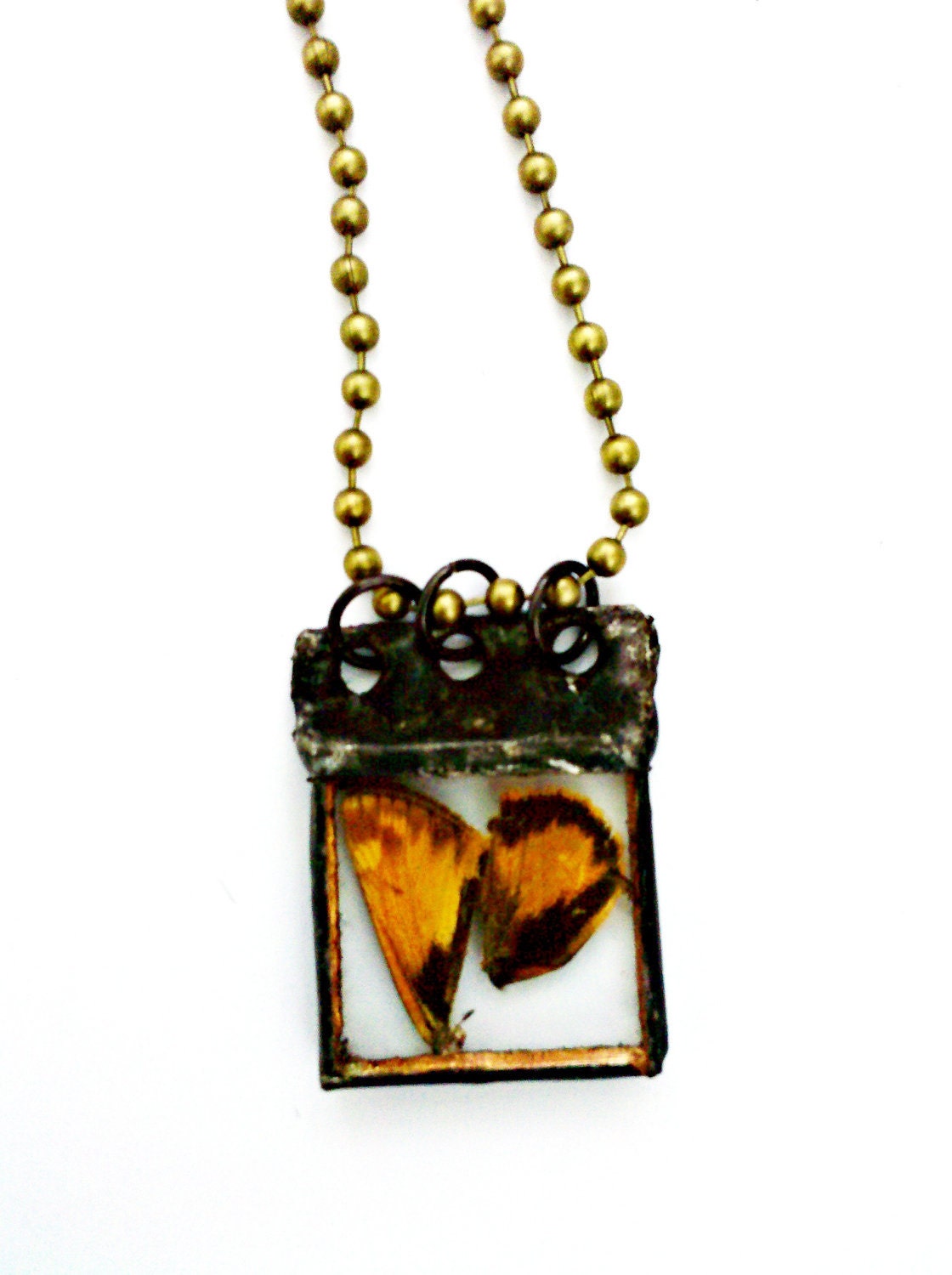Moth Wings Necklace, Butterfly Wing Jewelry, Soldered Specimen Charm, Wing Necklace, Specimen Jewelry, Moth Charm