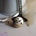 butterfly. locket necklace. brass ox