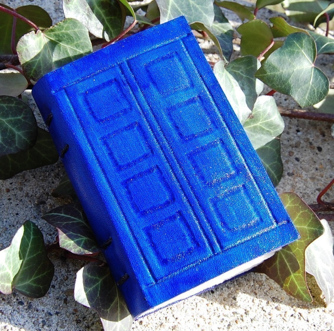 Dr. Who - Silence In The Library - Tardis Leather Journal Book - Small Size