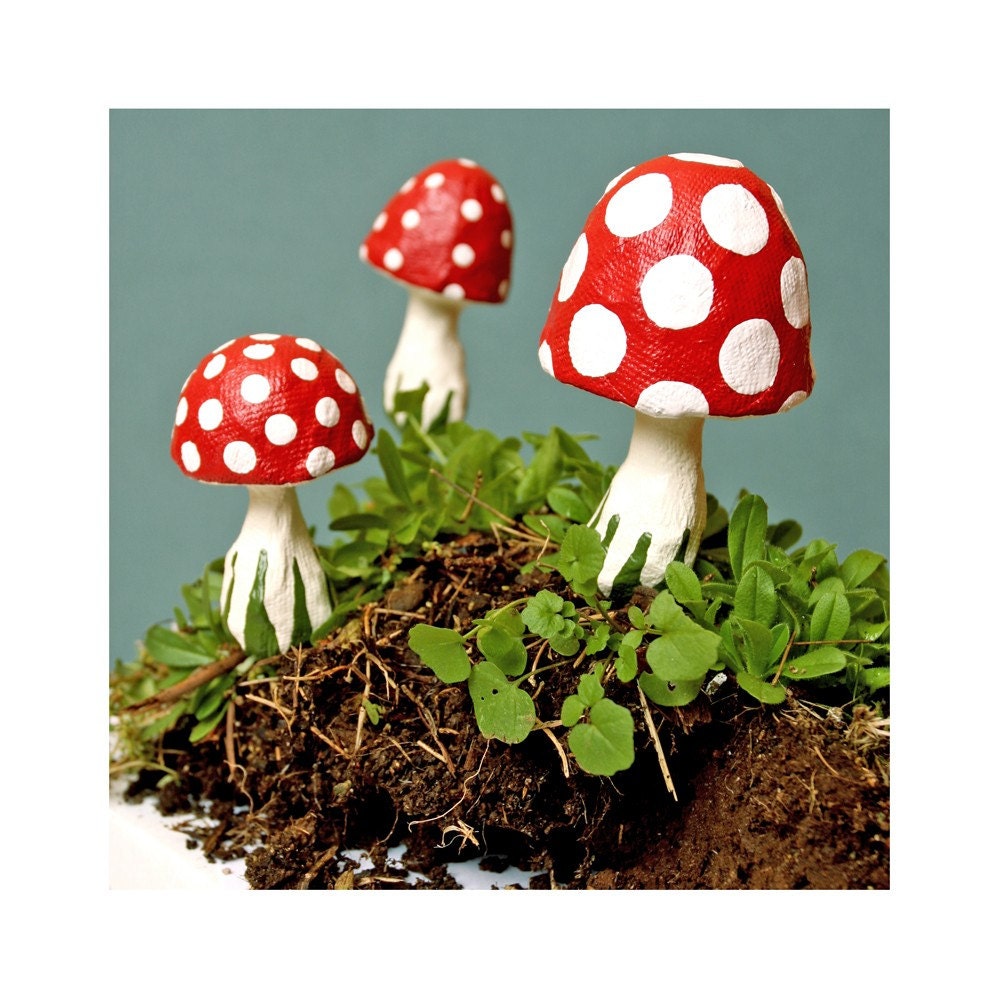 Lucky Mushroom - Trio (3)