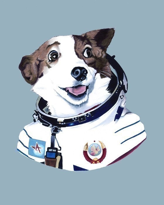 Strelka The Space Dog print 11x14