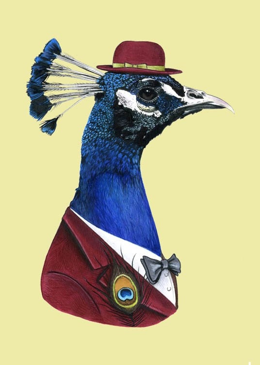 Peacock art print 5x7