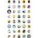 Four animal button pack - customizable