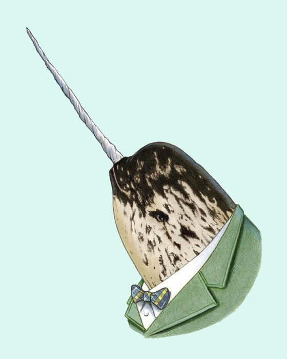 Narwhal print 8x10