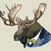Moose art print 8x10