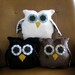 owlet