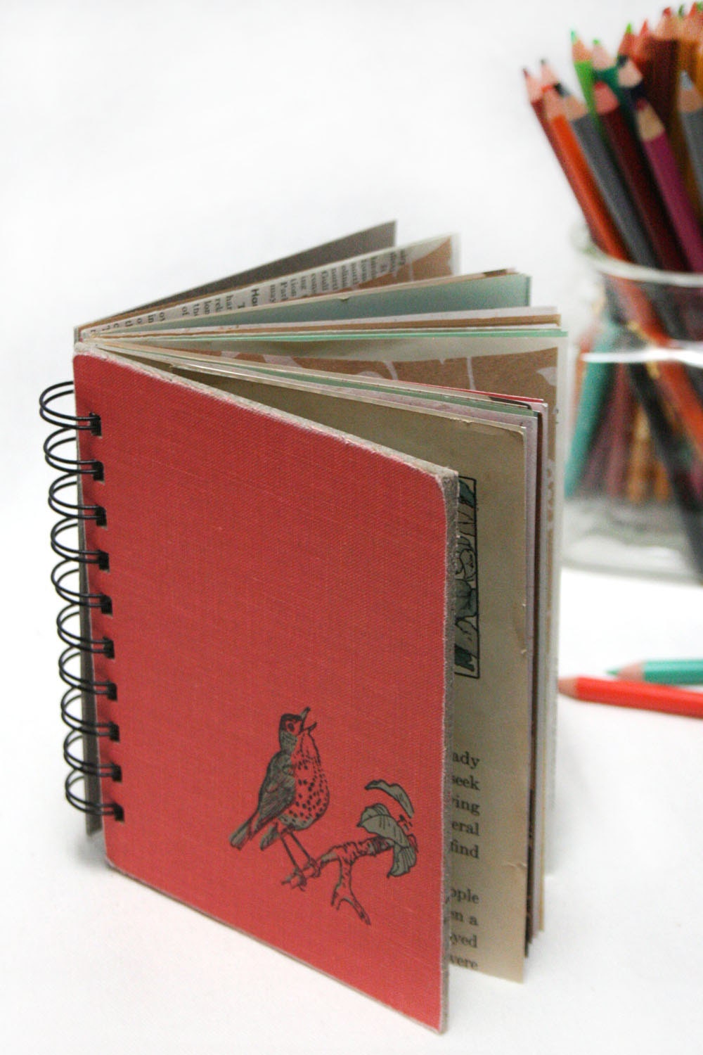 Rockin' Robin - Wire-Bound Recycled Art Journal