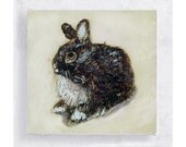 Brown Bunny Esme  on 5x5 Canvas Print Block - Animal Portrait - Still life - Wall Art - Home Decor