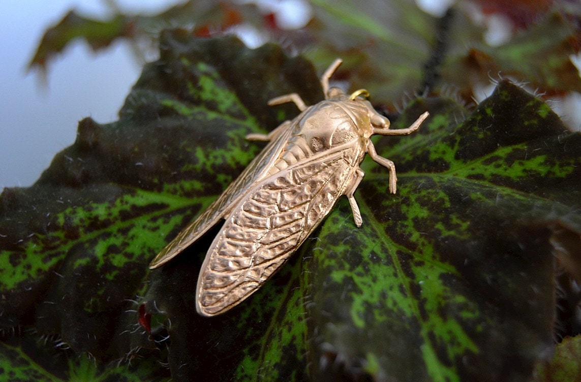 Cicada Necklace - Handmade Jewelry - Free Shipping in the US - Summer Fashion