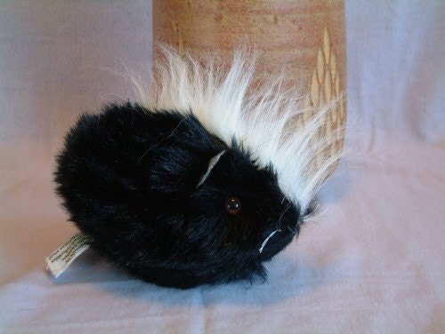 punk guinea pig