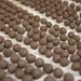 Any 8 Seed Bombs for Guerilla Gardening with Combined S/H Choose from Herb, Edible Flowers, Dog & Cat Friendly and Regional Varieties