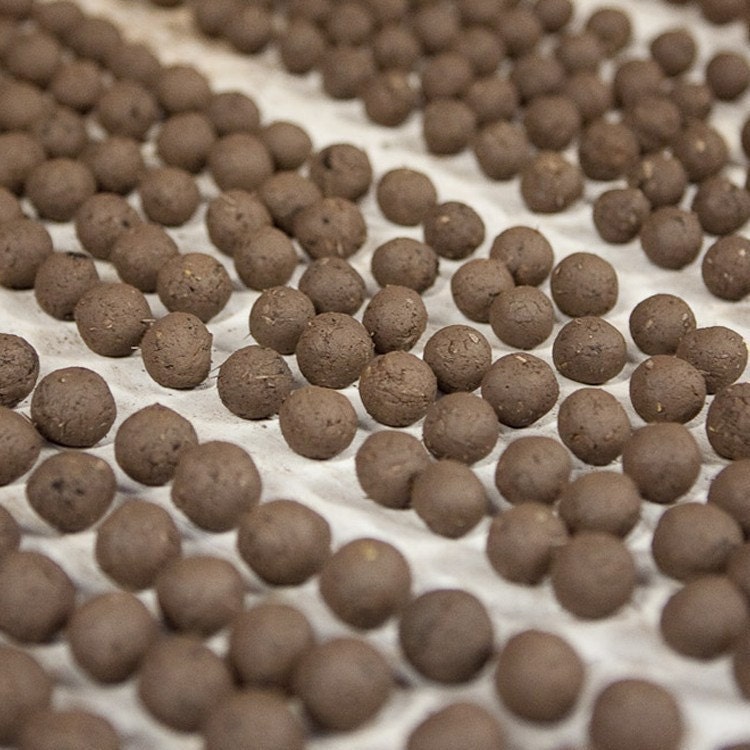 Any 3 Seed Bombs for Guerilla Gardening with Combined S/H Choose from Herb, Dog & Cat Friendly and Regional Varieties