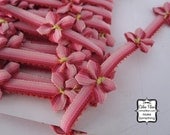 Bow Ribbon - Pink Sherbert Trim - 1 yard