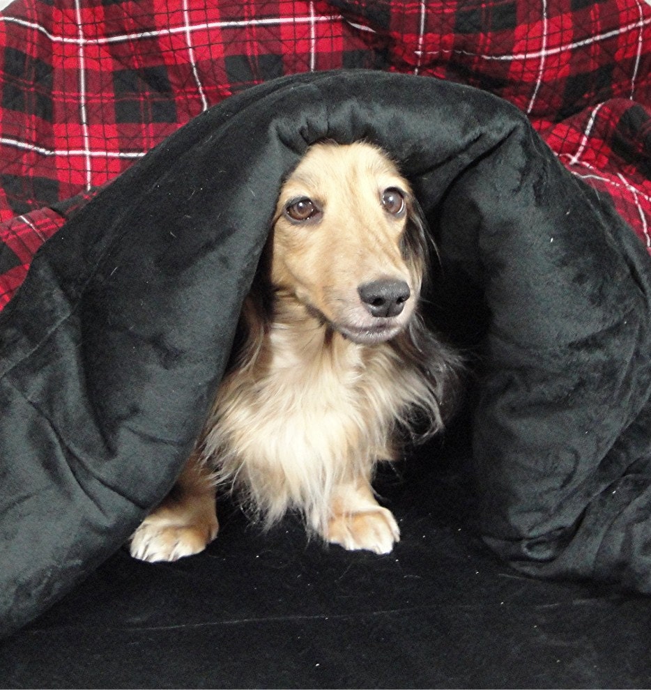 Heathcliff - Bed for Dogs - Cats - Pets -  Snuggle Sacks - Includes Embroidered Personalization - LIMITED EDITION - 12 x 15