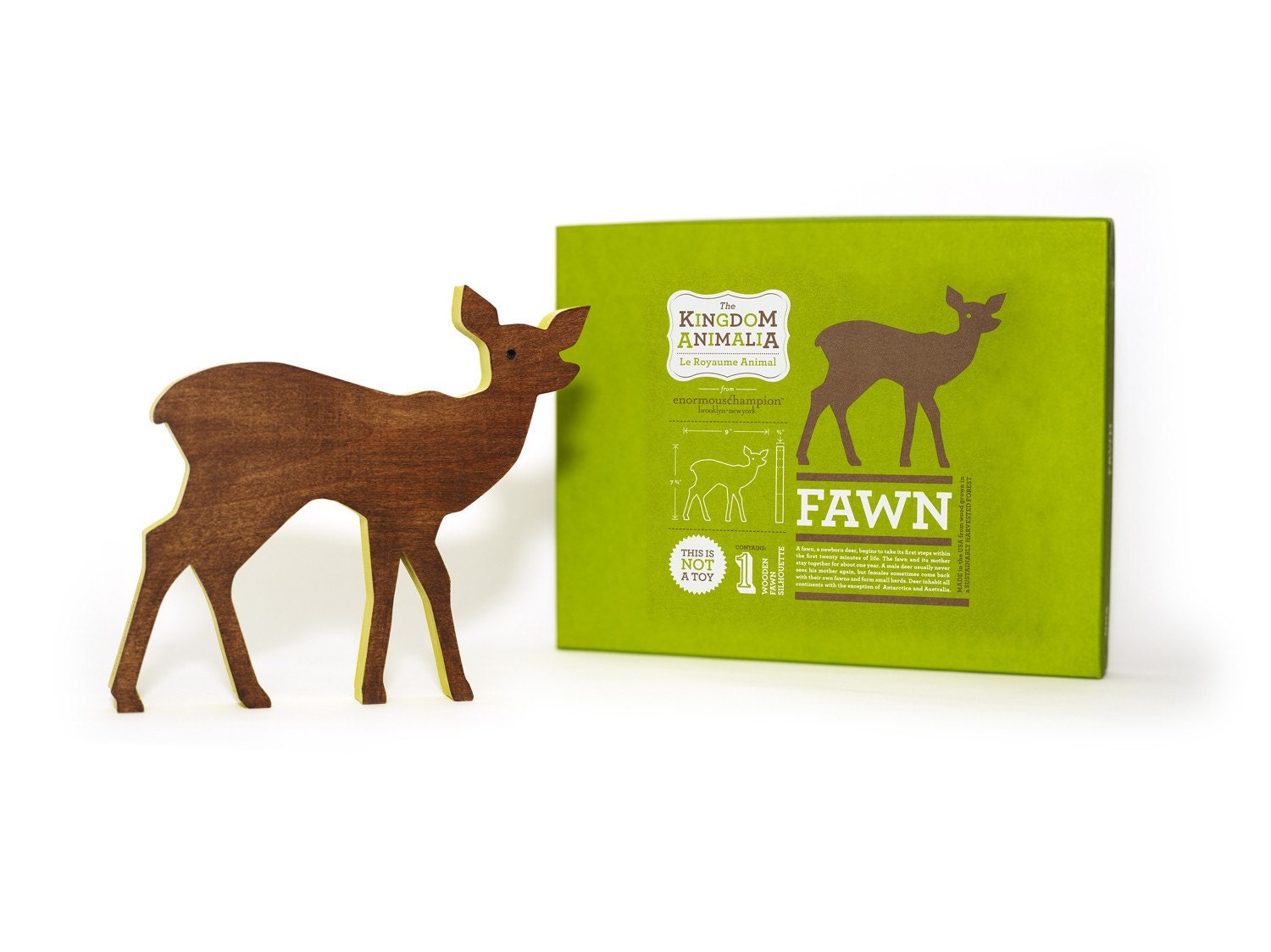 The Kingdom Animalia - Fawn