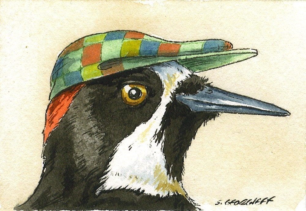 ACEO Signed PRINT - Acorn Woodpecker with hat