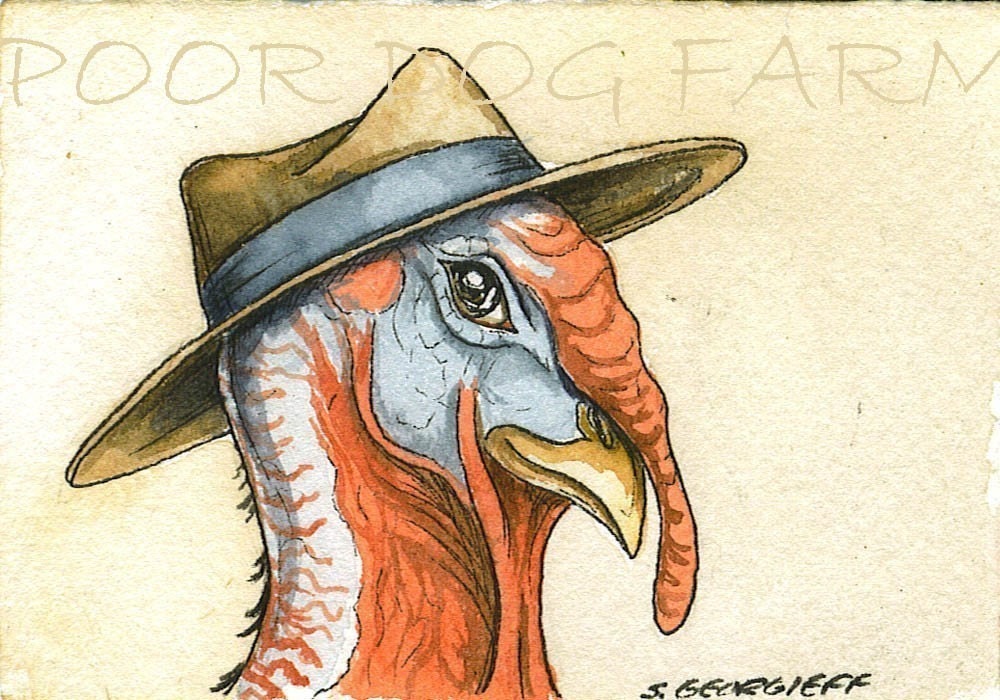 ACEo signed PRINT - A Dapper Turkey with hat-