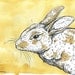 Brown and White Rabbit  8x10 painted print