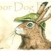 Brown  Hare in a Hat -  5 x 7 print