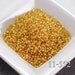 20g. Miyuki Seed Beads Dyed Light Apricot Silverlined Alabaster 11/0 No. 552