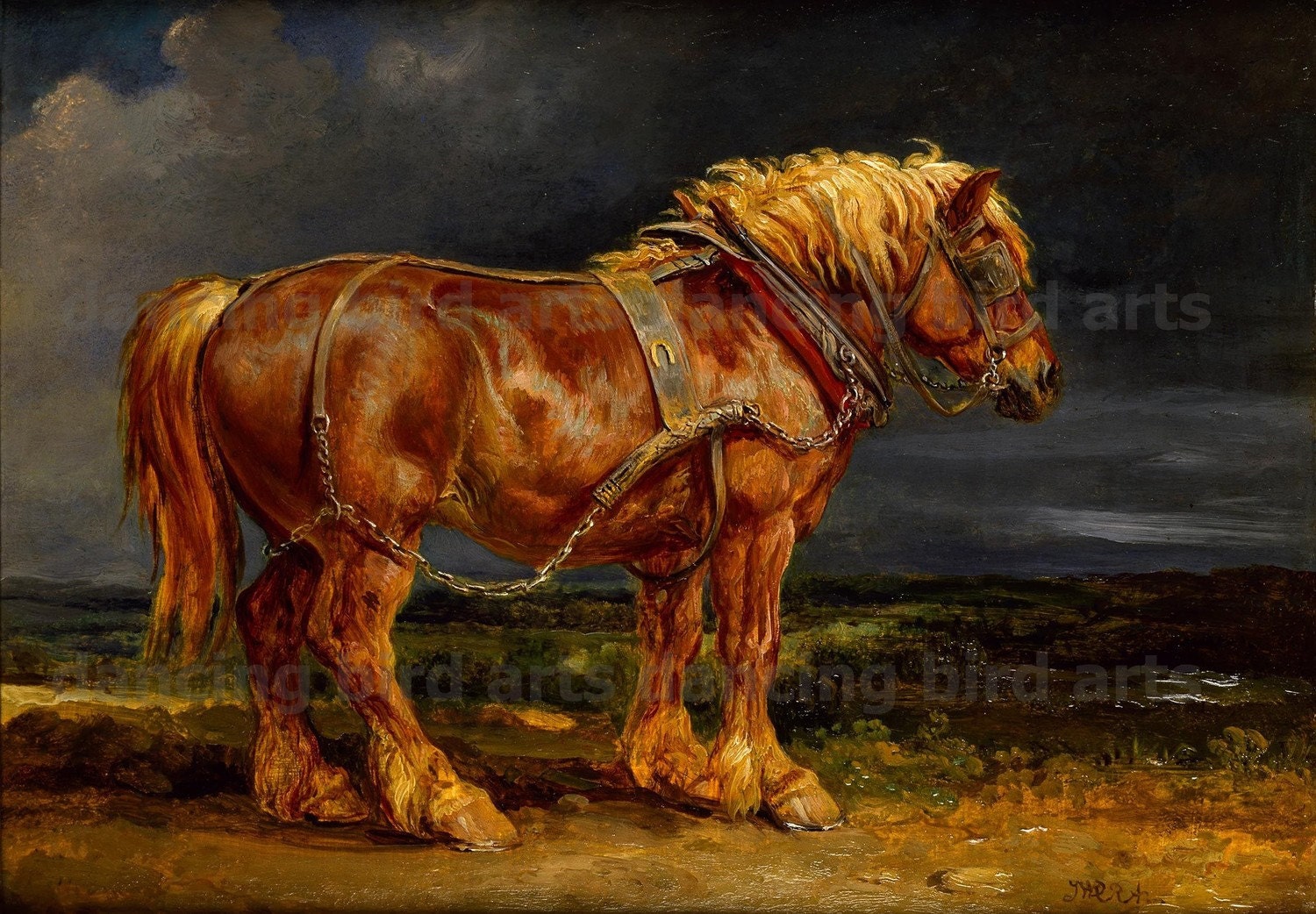 Gorgeous Draft Horse, INSTANT DOWNLOAD, Digital Image, c. mid-1800s