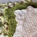 Spa Cloth Set of 3 in Pistachio, White and Olive Sprinkles
