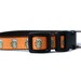 5/8 or 3/4 Inch Wide Dog Collar with Adjustable Buckle or Martingale in Beer an Exclusive Design