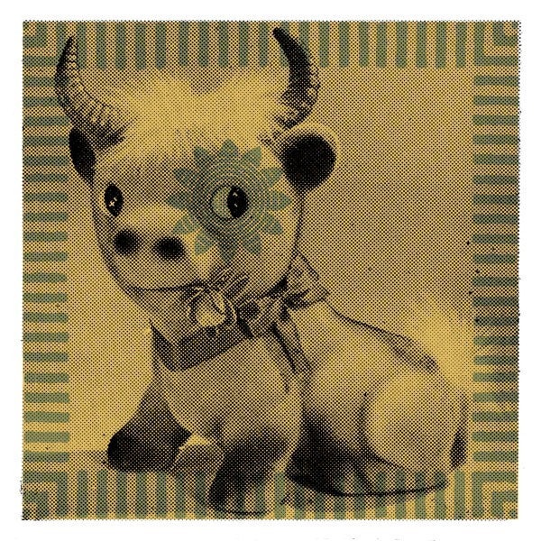 Baby Bull