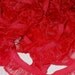 Color Wheel Specialty Stretch Elastic Soft Comfy Sissy Girl Panties Slips Ruffled Lace Edge Crystal Organza Shiny Atomic Red 1 Yard
