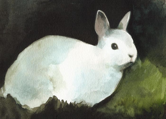 Darkness - Rabbit Art, Archival print