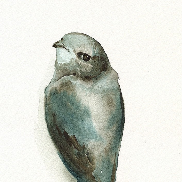 watercolor painting ,bird watercolor, decor, cottage, nature, grey, blue- "Miss Adorable" -Bird Art - amberalexander