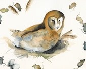 Molly the Barn owl Archival Print