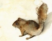 Squirrel art, painting, watercolor, nature decor, cottage, earth tones, sepia-Archival Art print