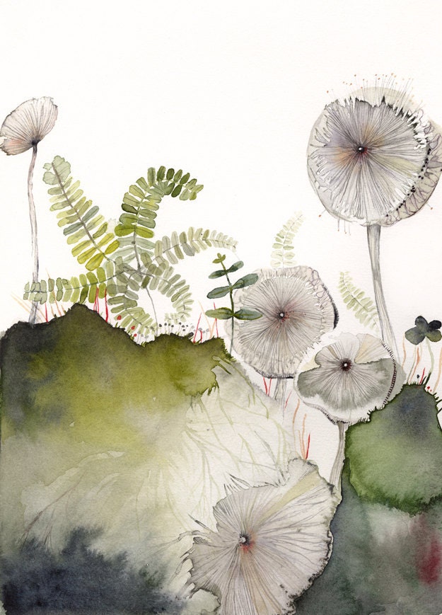 Maidenhair and Mushrooms Archival Print