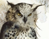 Great Horned Owl- Large Archival Art Print, Owl art - amberalexander