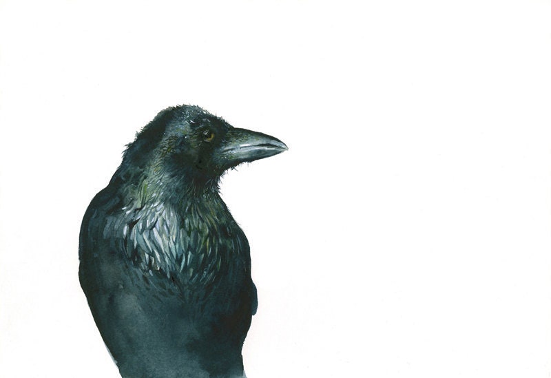 Raven Archival Print