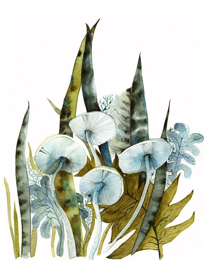 Woodland -archival print, contemporary botanical - amberalexander
